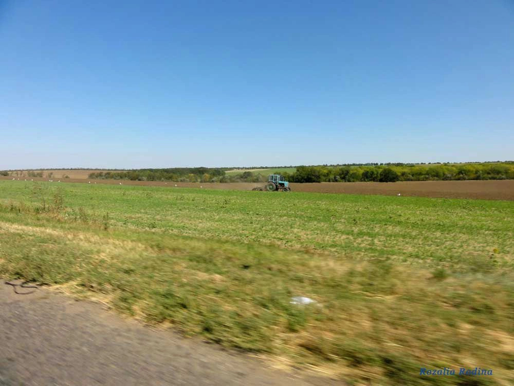 Монаши