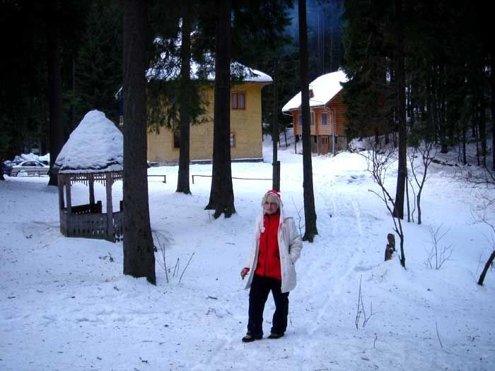 Карпаты (экскурс)