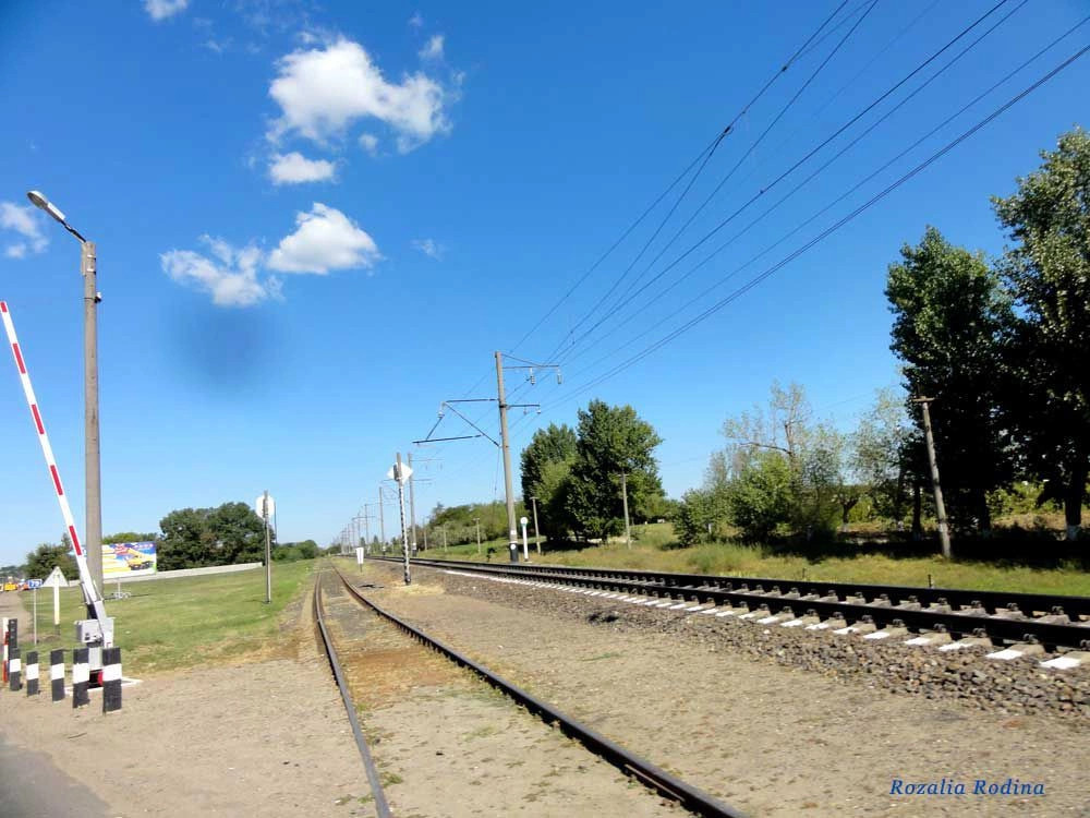Салганы