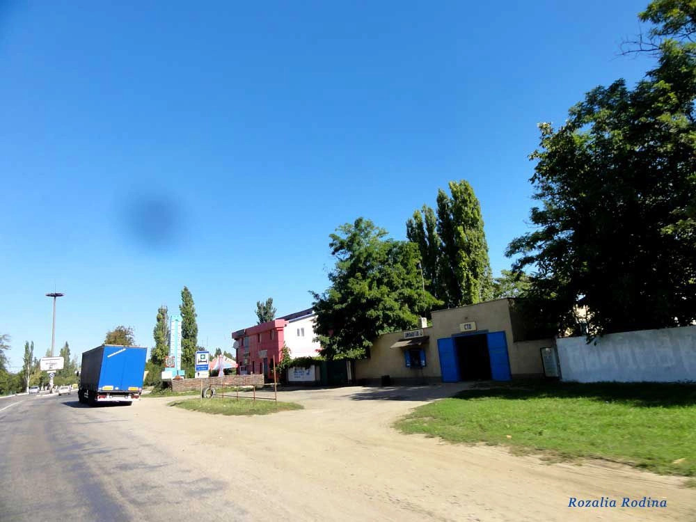 Салганы