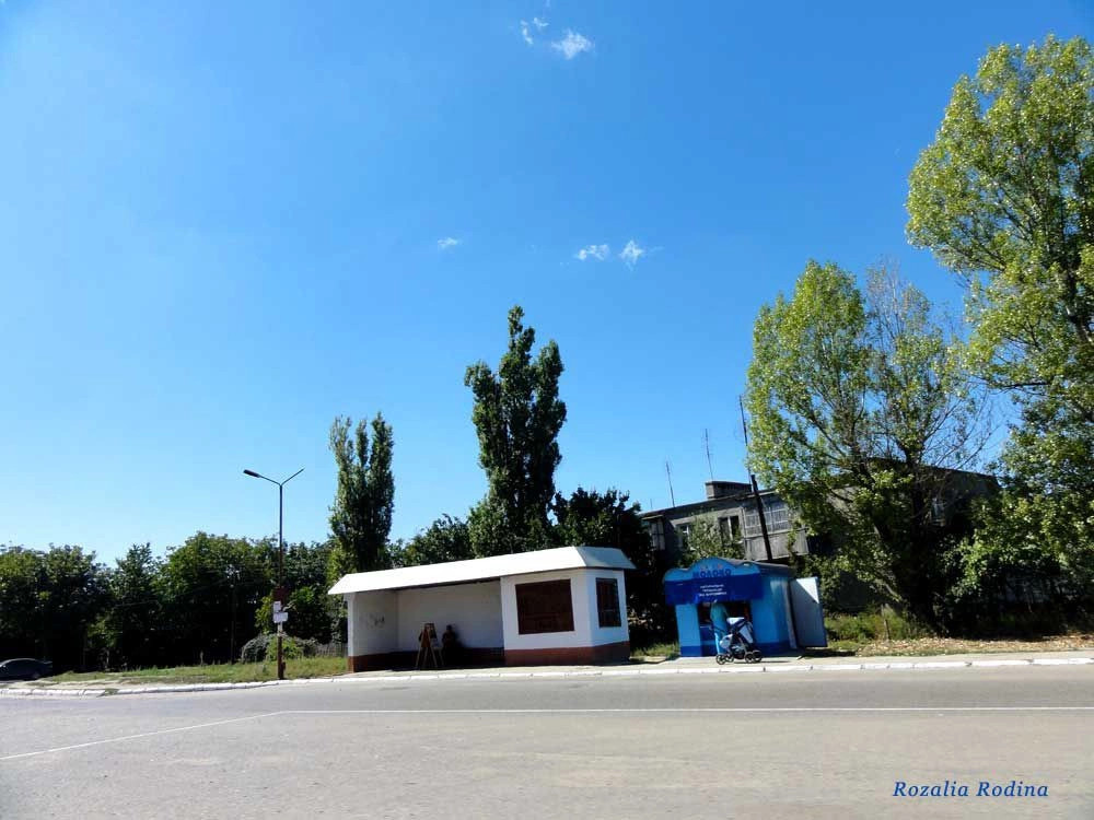 Салганы