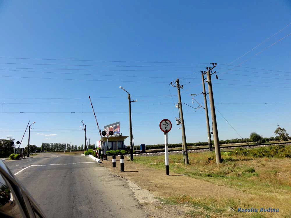 Салганы