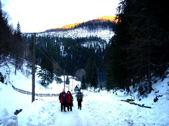 Карпаты (экскурс)