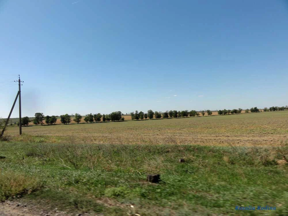Чабанское