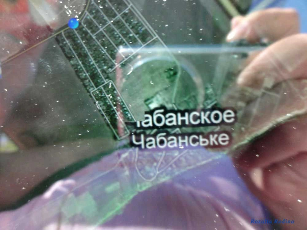 Чабанское