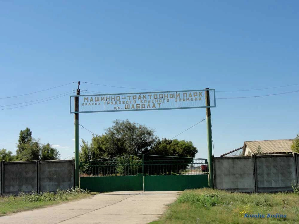 Шабо