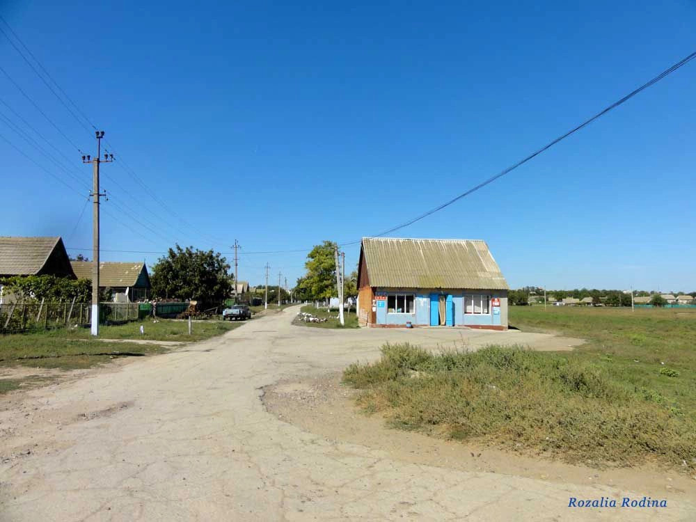 Вольное (Белгород-Днестровский р-н)
