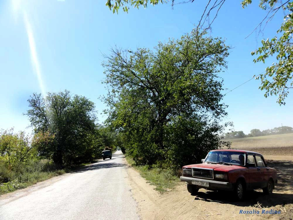 Вольное (Белгород-Днестровский р-н)