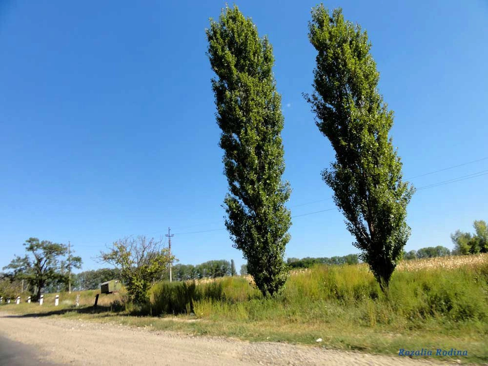 Мирное (Беляевский р-н)