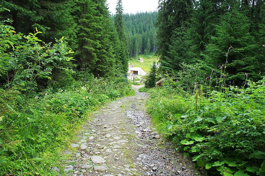 Карпаты (экскурс)