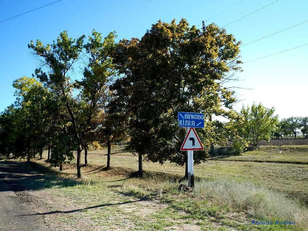 Десантное