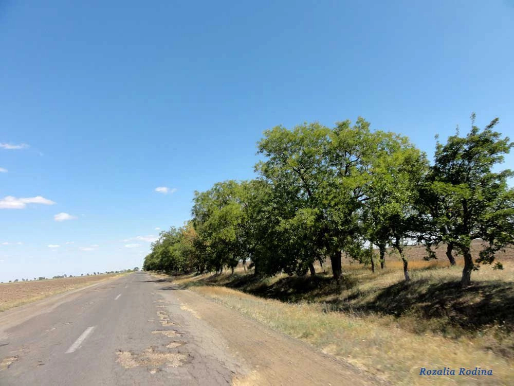 Дмитровка (Килийский р-н)