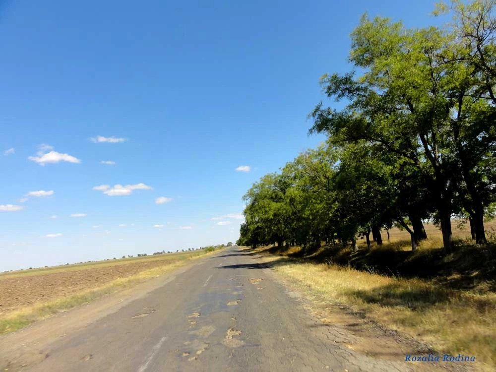 Дмитровка (Килийский р-н)