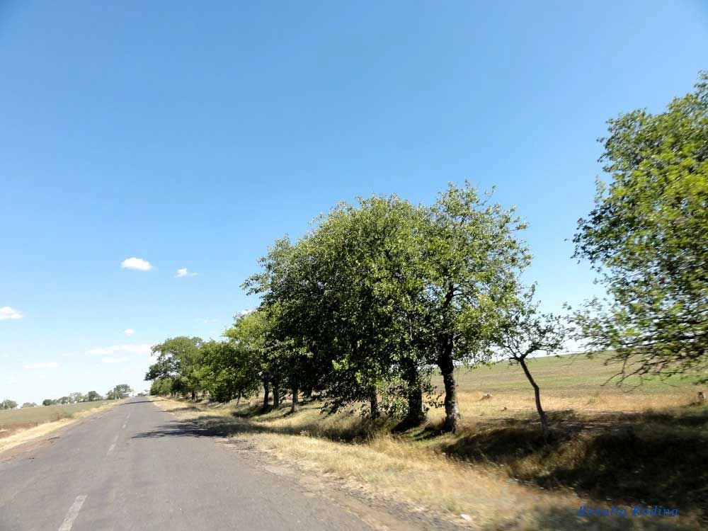 Дмитровка (Килийский р-н)