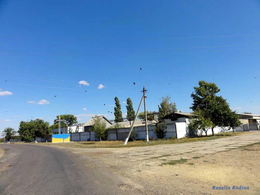 Дмитровка (Килийский р-н)