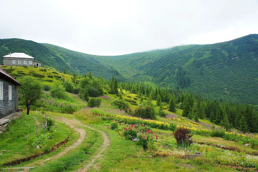 Карпаты (экскурс)