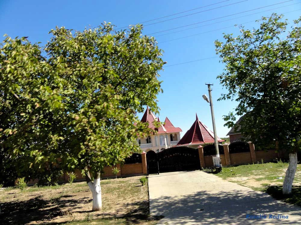 Дмитровка (Килийский р-н)