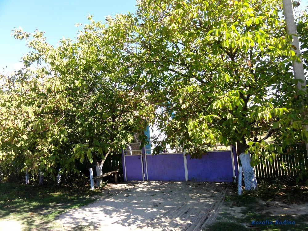 Дмитровка (Килийский р-н)