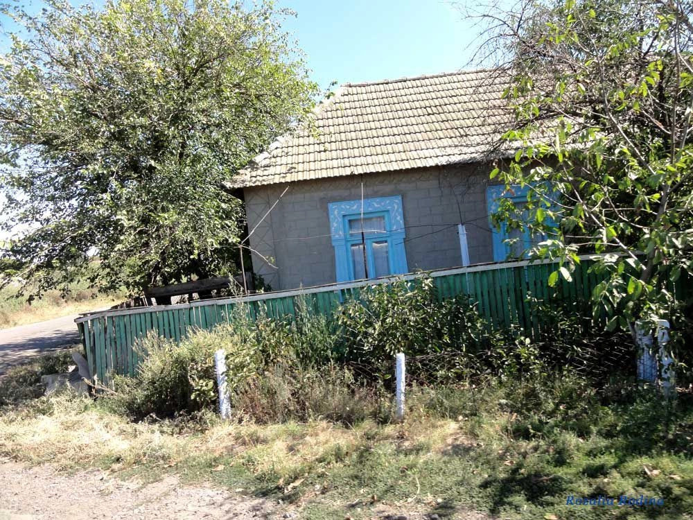 Дмитровка (Килийский р-н)