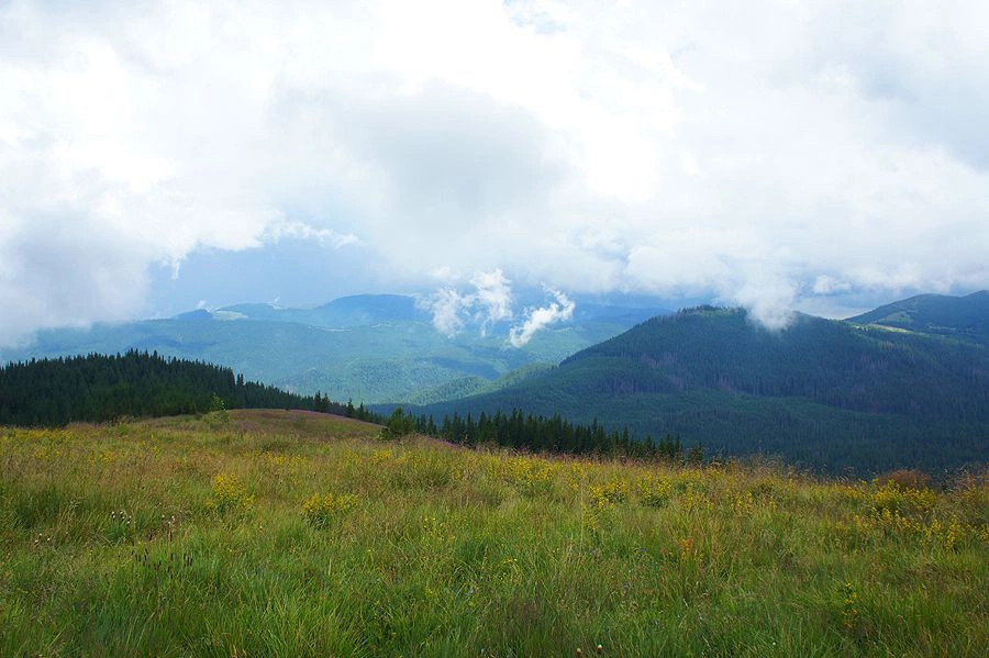 Карпаты (экскурс)