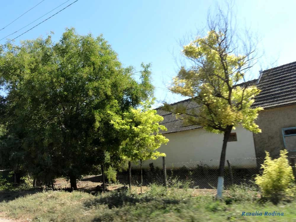 Дмитровка (Килийский р-н)