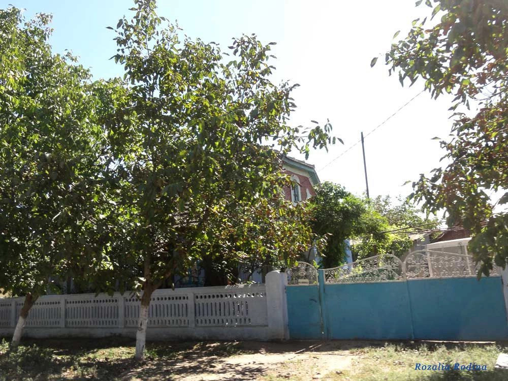 Дмитровка (Килийский р-н)