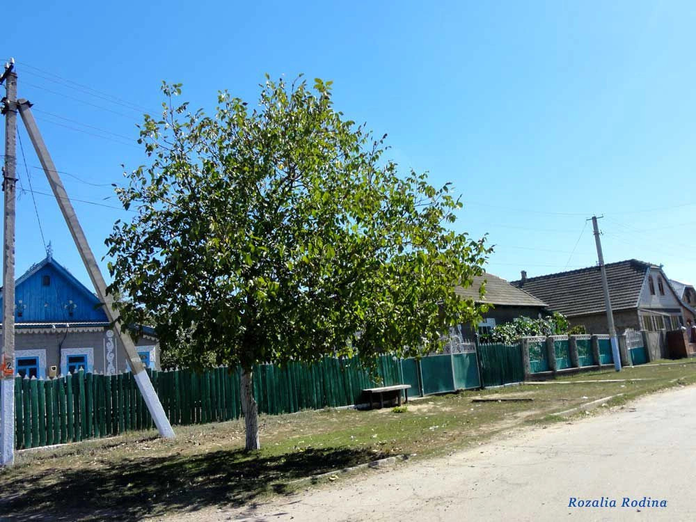Дмитровка (Килийский р-н)