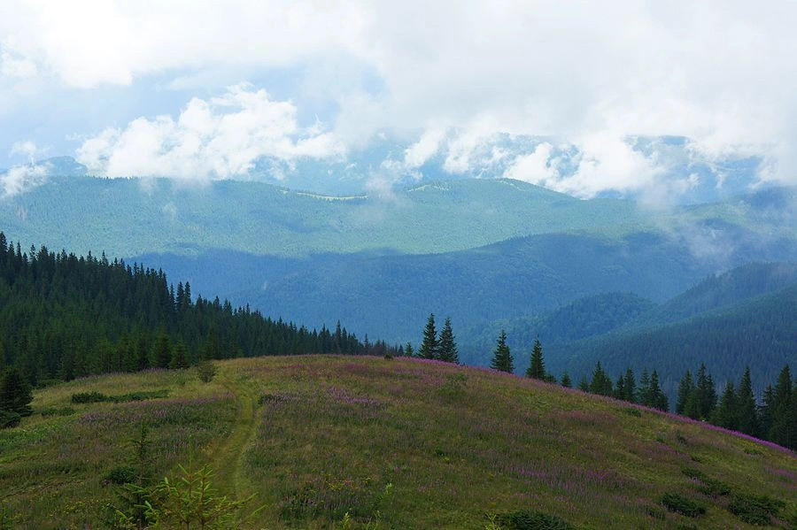 Карпаты (экскурс)