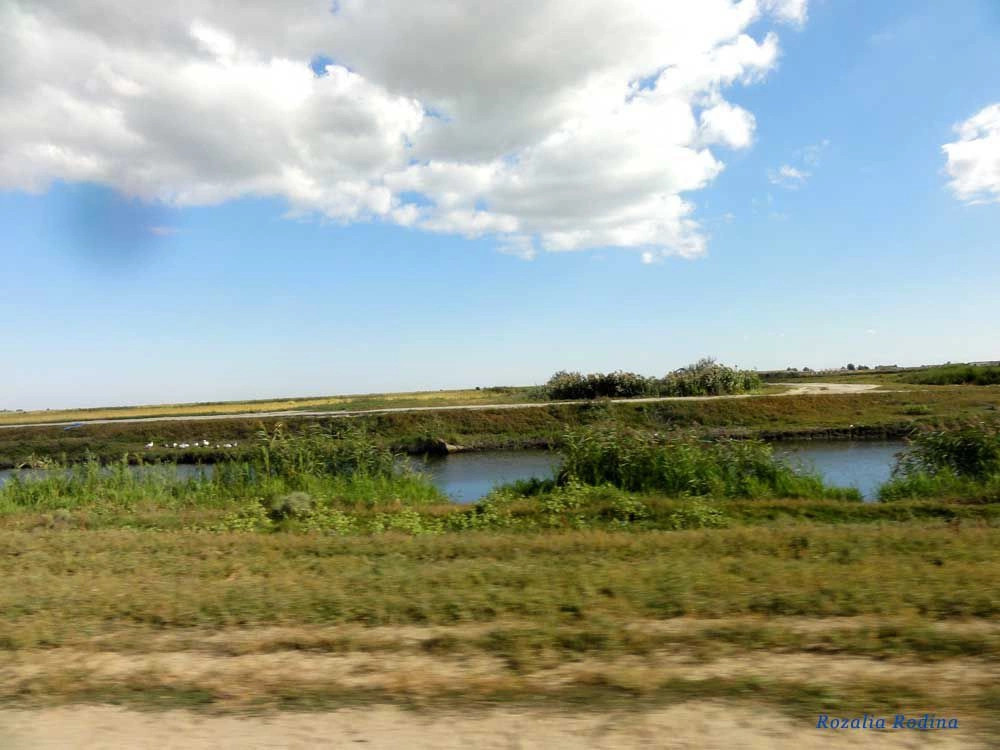 Лески (Килийский р-н)