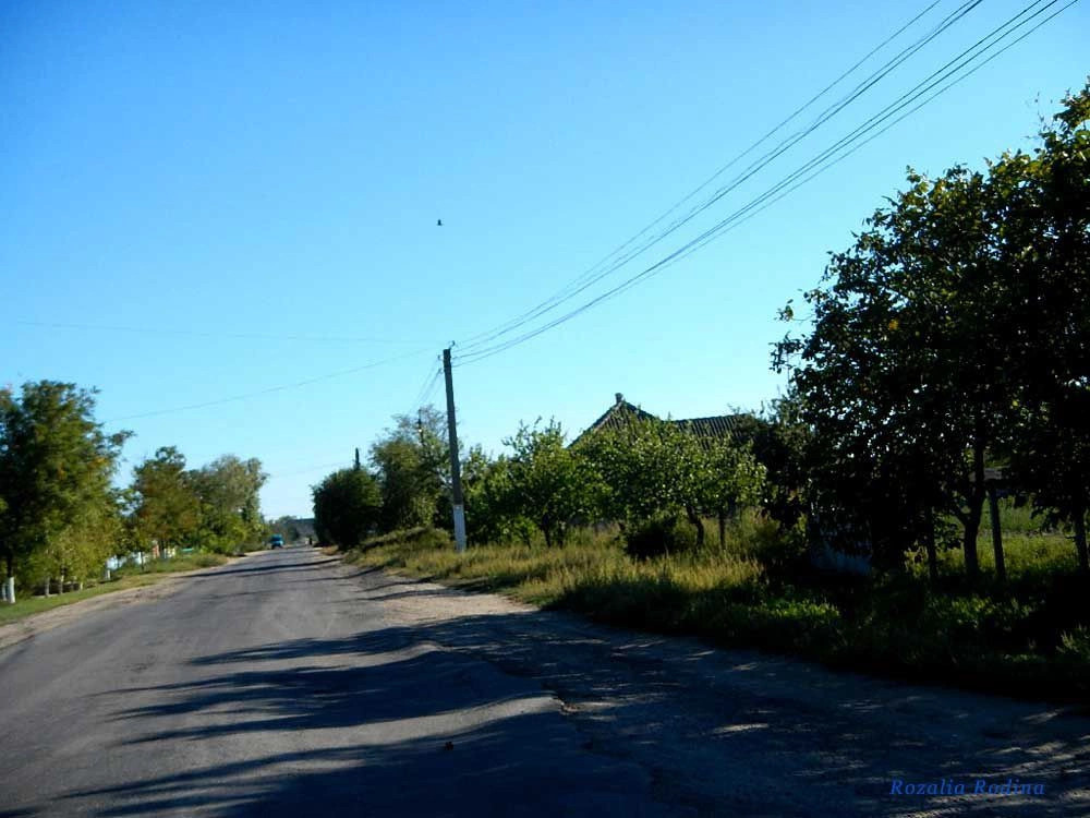 Приморское (Килийский р-н)