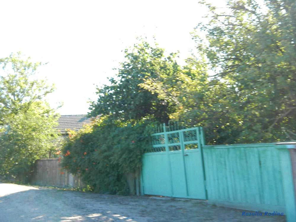 Приморское (Килийский р-н)