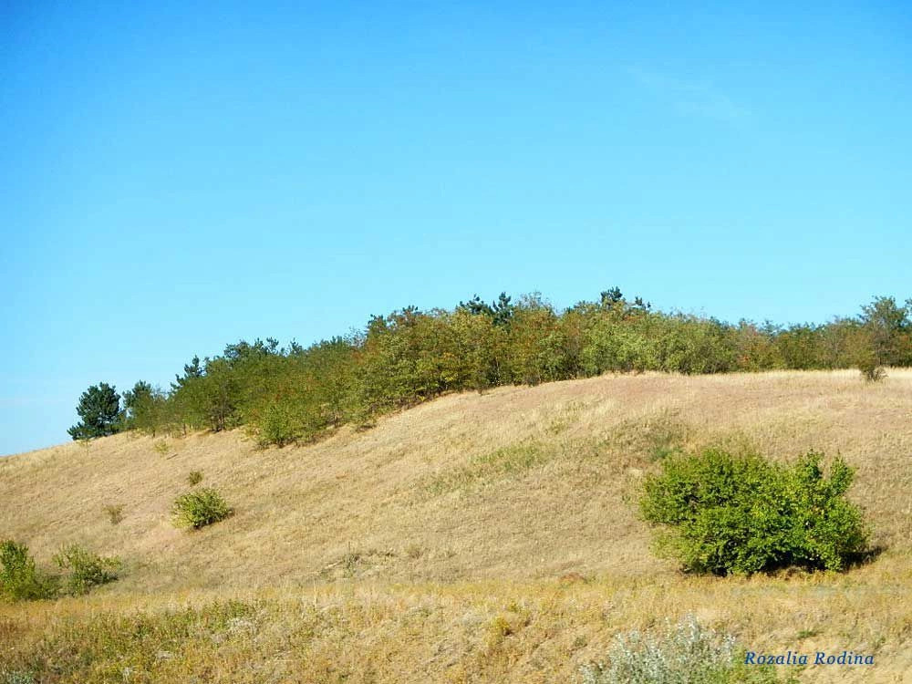 Комаровка (Любашёвский р-н)