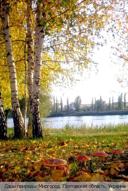 Полтавская обл.