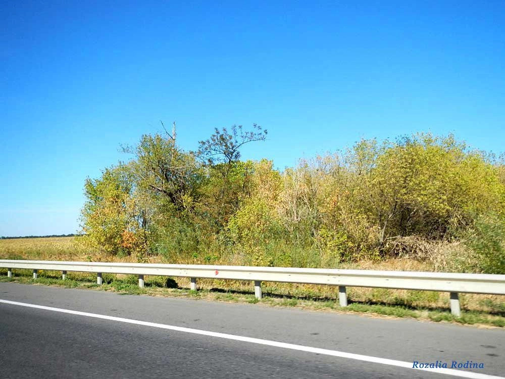 Николаевский район (Одес.)