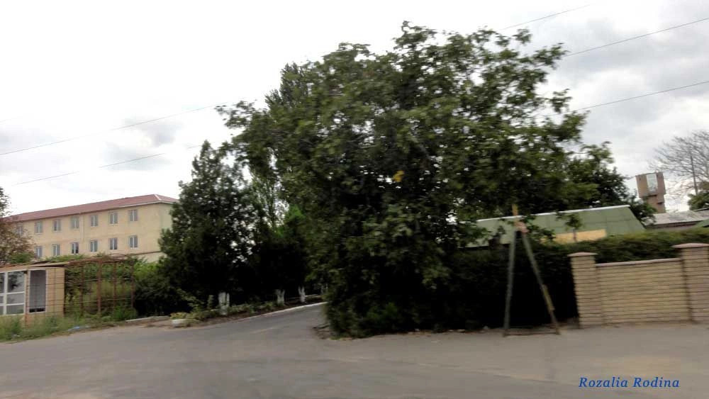 Авангард