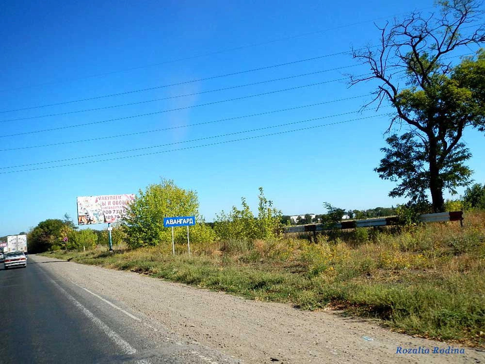 Авангард