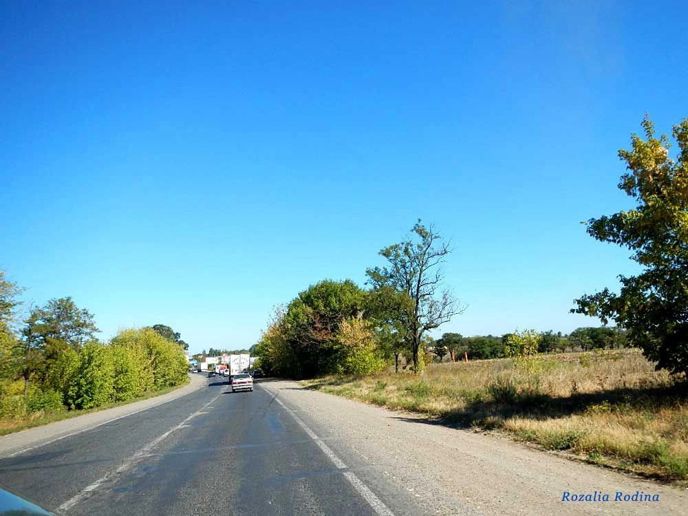 Авангард