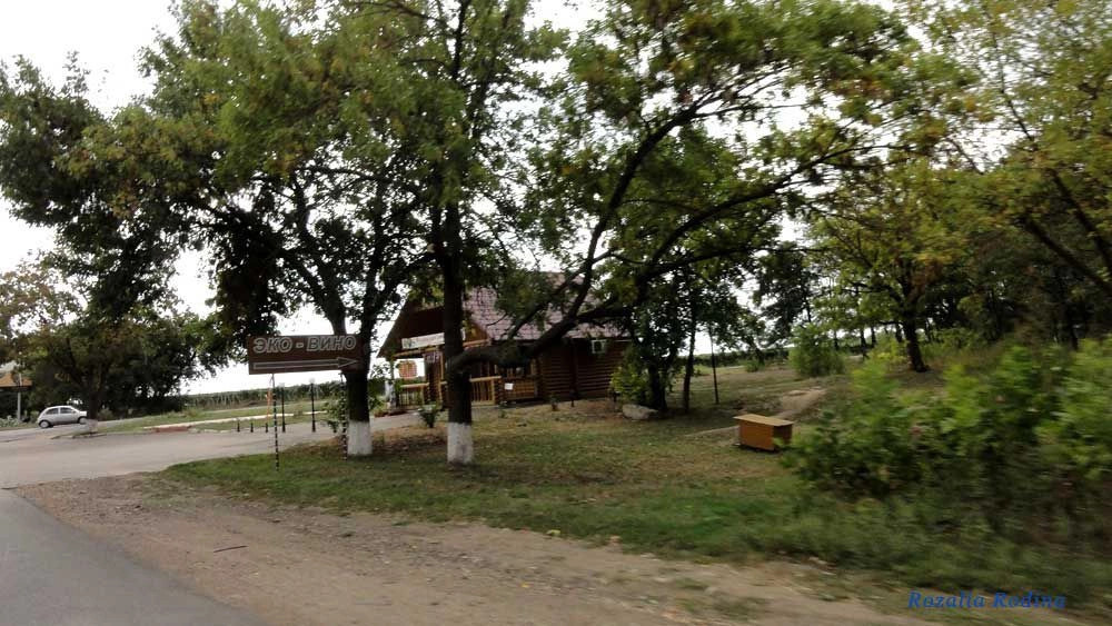 Новая Долина