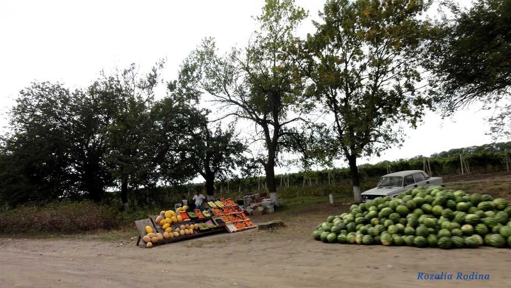 Новая Долина