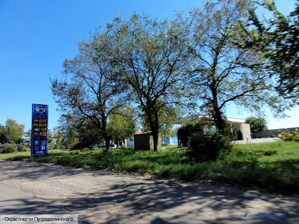 Петродолинское