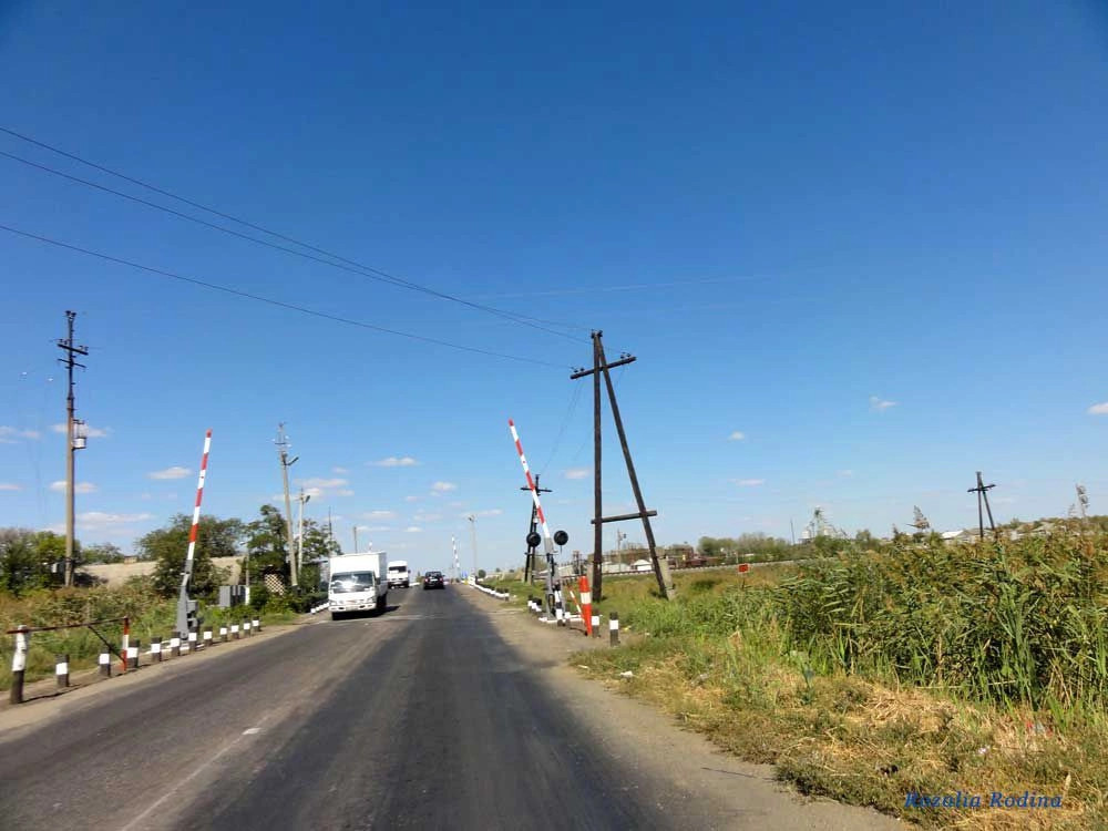 Сарата