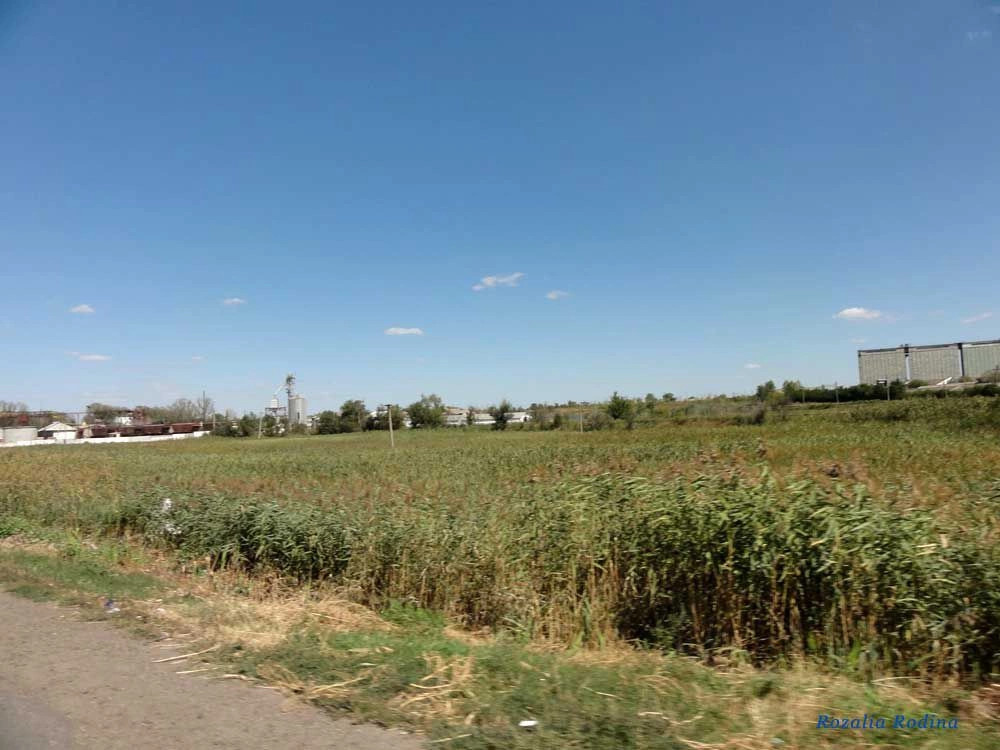 Сарата