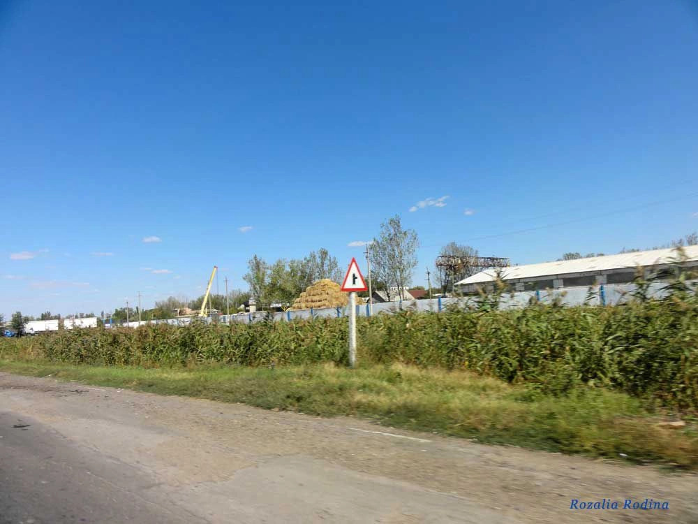 Сарата