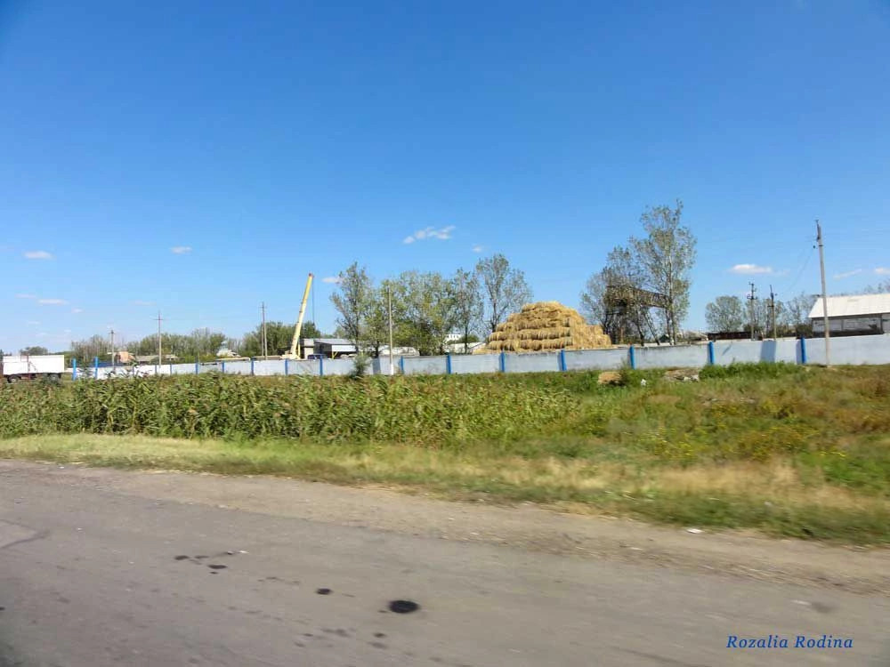 Сарата