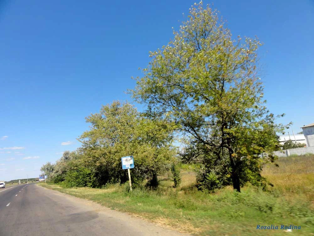 Сарата
