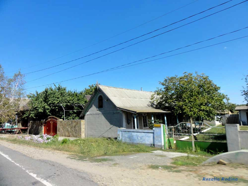 Заря (Саратский р-н)