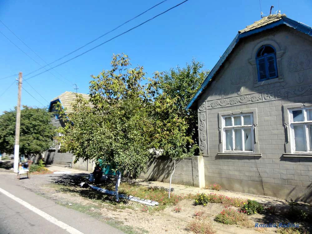 Заря (Саратский р-н)