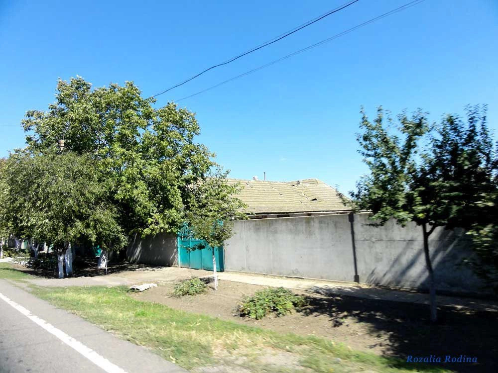 Заря (Саратский р-н)