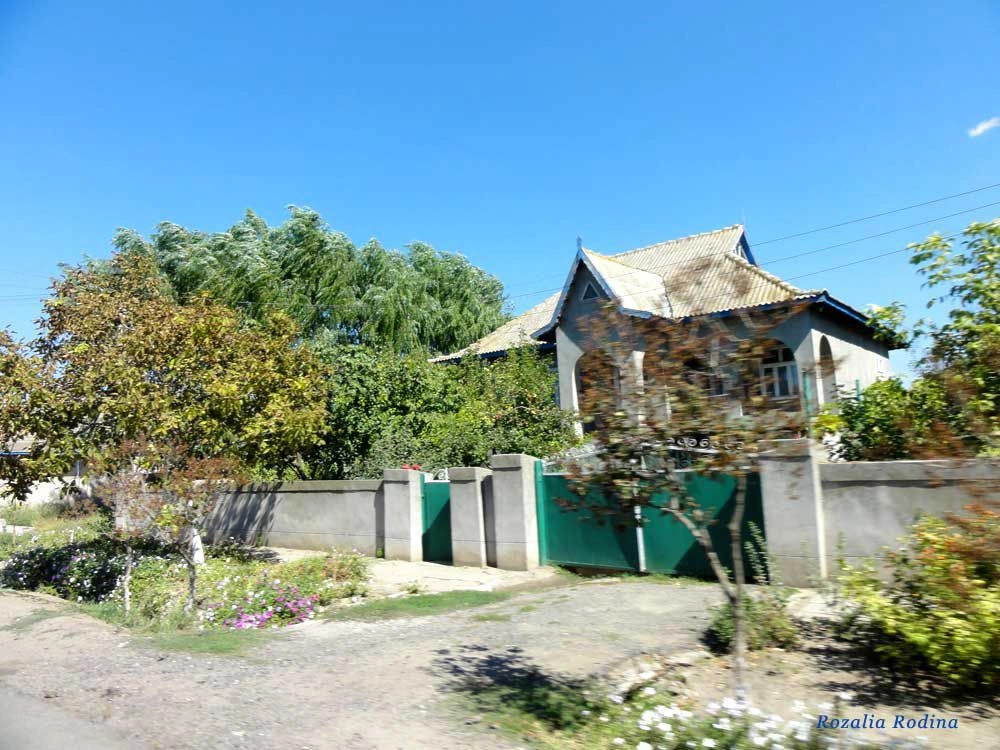 Заря (Саратский р-н)