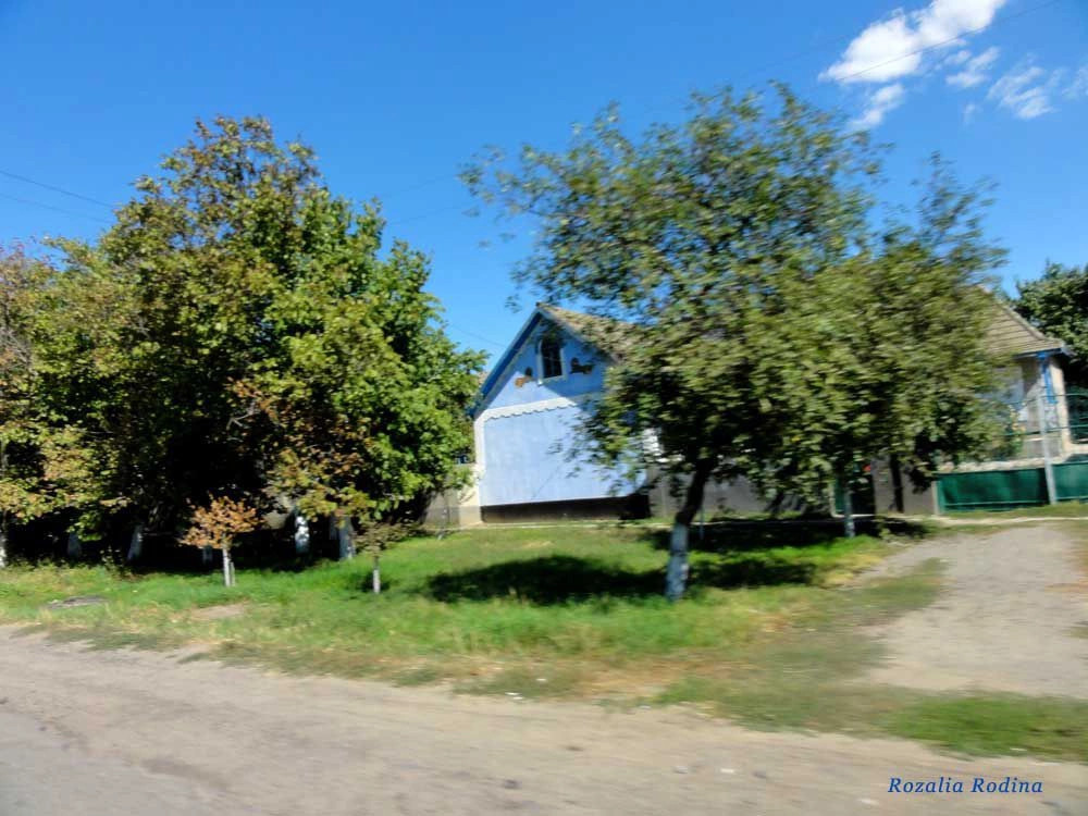Заря (Саратский р-н)
